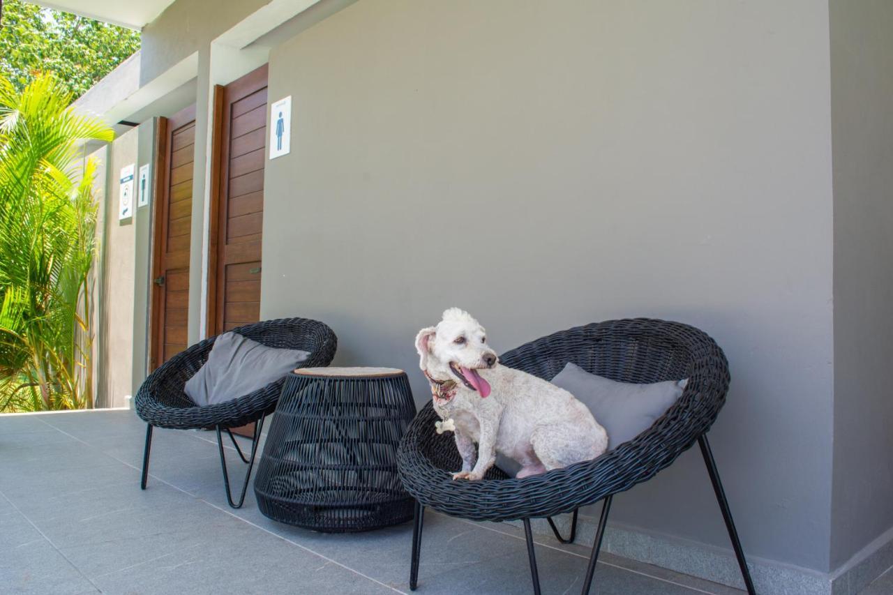 Paraiso Playa Bonita- Roof Top ปลายาเดลการ์เมน ภายนอก รูปภาพ
